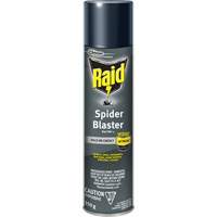 Raid&reg; Spider Blaster Bug Killer Insecticide, 350 g, Aerosol Can, Solvent Base The Estey Group