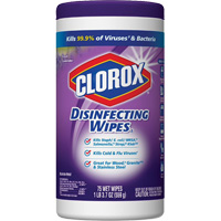 Disinfecting Wipes, 75 Count The Estey Group