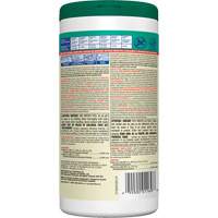 Disinfecting Wipes, 75 Count The Estey Group
