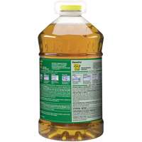 Nettoyant pour vitres et surfaces multiples Pine Sol, 4,25 L, Cruche The Estey Group