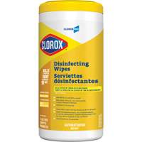 Disinfecting Wipes, 75 Count The Estey Group