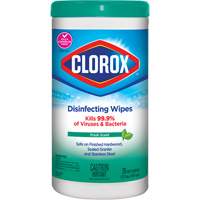Disinfecting Wipes, 75 Count The Estey Group