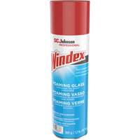 Windex&reg; Foaming Glass Cleaner, 560 g, Aerosol Can The Estey Group