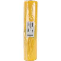 Hazardous Waste Liners, Asbestos, 40" L x 26" W, 3 mils The Estey Group