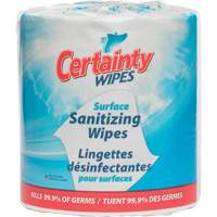 Lingettes d&eacute;sinfectantes pour surfaces, Pochette The Estey Group