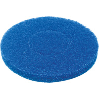 Floor Pad, Cleaning, Blue The Estey Group