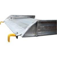 Aluminum Walk Ramp, 1000 lbs. Capacity, 38" W x 193-1/8" L The Estey Group