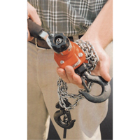 Series 602 Mini Ratchet Lever Hoist, 5' Lift, 550 lbs. (0.275 tons) Capacity, Steel Chain The Estey Group
