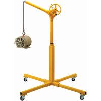 Tall Industrial Lifting Device with Mobile Base, 500 lbs. (0.25 tons) Capacity The Estey Group