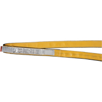 Polyester Slings, Single Ply, Endless, Type 5, 1" W x 3' L, 3200 lbs. Vertical Cap. The Estey Group