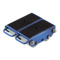 Pakrol 4-Wheel Polyurethane Skate The Estey Group