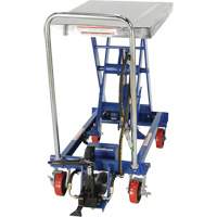 Pneumatic Hydraulic Scissor Lift Table, Steel, 32-1/2" L x 19-3/4" W, 1000 lbs. Cap. The Estey Group