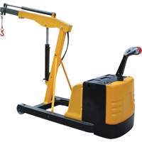 Grue d'atelier &eacute;lectrique, Lev&eacute;e 8,8', 1500 lb (0,75 tonne), 44-1/4" bras, 62-1/4" ha The Estey Group