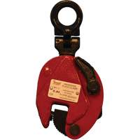 Pinces de levage universelles 180° 