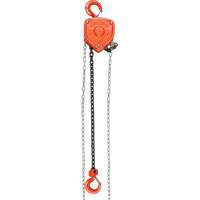 Chain Hoist, 20' Lift, 1000 lbs. (0.45 tons) Capacity, Alloy Steel Chain The Estey Group
