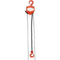 Chain Hoist, 20' Lift, 1000 lbs. (0.45 tons) Capacity, Alloy Steel Chain The Estey Group