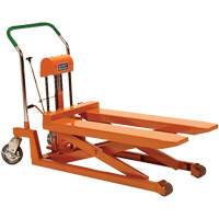 Dandy Lift Scissor Fork Lift Table, 37.1" L x 19.7" W, Steel, 1100 lbs. Capacity The Estey Group