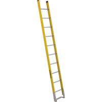 Single Section Straight Ladder - 6100 Series, 10', Fibreglass, 375 lbs., CSA Grade 1AA The Estey Group