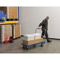 Platform Cart, 48" L x 24" W, 1500 lbs. Capacity, Mold-on Rubber Casters The Estey Group