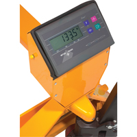 Digital Scale Pallet Truck, 27.5" L x 27.5" W, 5000 lbs. Cap. The Estey Group
