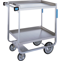 Heavy-Duty U Frame Carts, 2 Tiers, 19-3/8" W x 34-1/2" H x 32-5/8" D, 700 lbs. Capacity The Estey Group