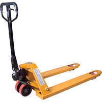 Manual Pallet Truck, Steel, 42" L x 20.5" W, 5500 lbs. Capacity The Estey Group