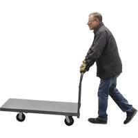 Platform Truck, 48" L x 24" W, 2000 lbs. Capacity, Rubber Casters The Estey Group