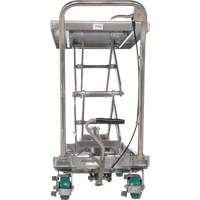Table &eacute;l&eacute;vatrice hydraulique manuelle &agrave; ciseaux, 36-1/4" lo x 19-3/8" la, Acier inoxydable, Capacit&eacute; 600 lb The Estey Group