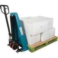 Manual Scissor Skid Lift, 45-1/4" L x 20-1/4" W, Steel, 3300 lbs. Capacity The Estey Group
