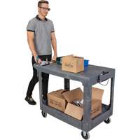Flat-Shelf Utility Service Cart, 2 Tiers, 25-1/4" x 32-1/4" x 44", 550 lbs. Capacity The Estey Group