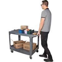 Flat-Shelf Utility Service Cart, 2 Tiers, 25-1/4" x 32-1/4" x 44", 550 lbs. Capacity The Estey Group