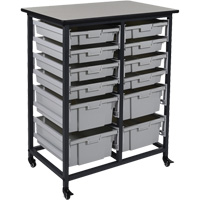 Mobile Bin Storage Unit, Single-sided, 12 bins, 30-3/4" W x 20" D x 37-1/2" H The Estey Group