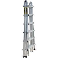 &eacute;chelle t&eacute;lescopique multifonction, Aluminium, 300 lb The Estey Group