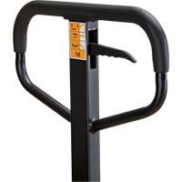 Transpalette manuel, Acier, 48" lo x 21" la, Capacit&eacute; 5500 lb The Estey Group