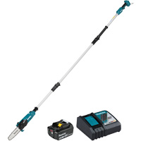 LXT Brushless 5' or 8' Pole Chainsaw Kit The Estey Group
