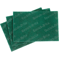Tampons manuels Scotch-Brite, 9" lo x 6" la The Estey Group