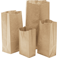 Paper Bags, Paper, 3-1/2" W x 6-3/4" L The Estey Group