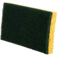 Utility Sponges, Cellulose, 6" W x 3-1/2" L The Estey Group