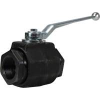 High Pressure Full-Bore Ball Valve, Steel, Manual, FNPT x FNPT The Estey Group