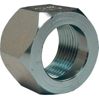 Dixon&reg; Mining Hex Nut, 1", Zinc Plated, NPT Thread The Estey Group