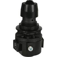 Wilkerson Regulator R26, 3/8" NPT, 300 psi Max. PSI, Standard The Estey Group
