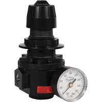 Wilkerson Regulator R26, 1/2" NPT, 300 psi Max. PSI, Standard The Estey Group