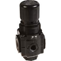 Series 1 Manifold Regulator, 1/4" NPT, 150 PSI Max. PSI, Standard The Estey Group