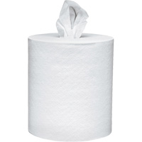 Scott&reg; Essential Paper Towels, 2 Ply, Centre Pull, 625' L The Estey Group