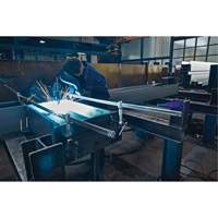 Serre-joint enti&egrave;rement en acier &agrave; double force variable The Estey Group