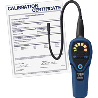 Combustible Gas Leak Detector, 5 ppm, Display & Sound Alert The Estey Group
