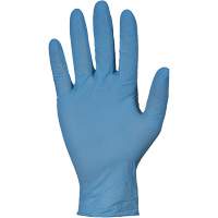 KeepKleen&reg; RDNPF Disposable Gloves, Large, Nitrile, 4-mil, Powder-Free, Blue, Class 2 The Estey Group