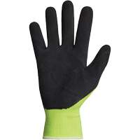 Dexterity&reg; Coated Gloves, 10, Latex Coating, 13 Gauge, Polyester Shell The Estey Group