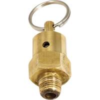 Viton&reg; Pressure Relief Valve The Estey Group