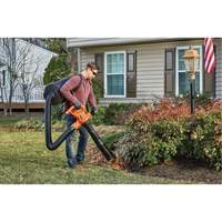 3-in-1 VacPack Leaf Blower/Vacuum/Mulcher, 250 MPH Output, Electric The Estey Group